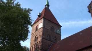 Glocken der Evluth Alexanderkirche Wildeshausen [upl. by Romeyn75]