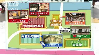 豊洲市場の楽しみ方を紹介！ 一般利用は13日から181011 [upl. by Inigo]