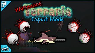 Lets Play Terraria 13 Expert Mode PC  Revenge Is Sweet Trophy Hoarder 24 [upl. by Neyuh321]