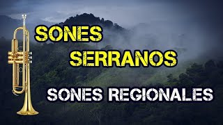 Sones Serranos Sones Regionales Son del Tepache [upl. by Ayatnohs]