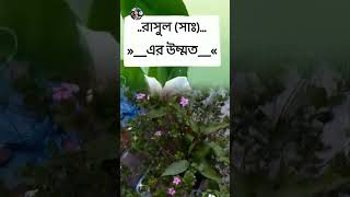 flower treemy lovely flower ❤️❤️❤️Fatima Islam Shanta shorts videoBangladesh [upl. by Iliam]