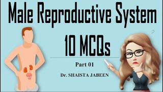 MCQs on Male Reproductive System I 10 MCQs for Practice with Explanation I Part 01 I Physiology [upl. by Herrera]