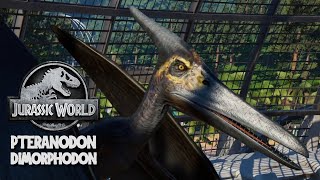 Pteranodon amp Dimorphodon Breakout Jurassic World Evolution Mods 4K 60FPS [upl. by Carlin662]