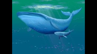 relaxation chant des baleines pour dormir [upl. by Stieglitz]