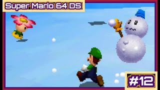 Super Mario 64 DS  Part 12 Polar Push [upl. by Elie]