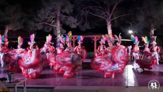 Sinaloa Carnaval quotToro Mamboquot  Compañía Folklórica del Estado de Chihuahua [upl. by Cralg]