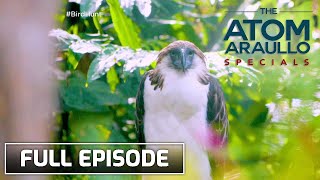 The Atom Araullo Specials Bird hunt Full Episode [upl. by Yursa524]