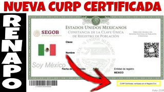 NUEVA CURP RENAPO CERTIFICADA GRÁTIS PASOS Y REQUISITOS AQUÍ [upl. by Ahsercul]