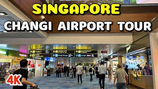 Why Singapore Changi is the World’s Best Airport Full Terminal Tour amp Transit Area Exploration [upl. by Nnaeirual]