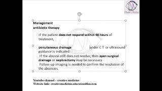 Lec 1 Perinephric Abscess [upl. by Quigley47]