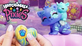 Vacay Pixies Unbox NEW Hatchimals Pet Obsessed Hatchimals Unboxing Hatchimals [upl. by Courtney55]