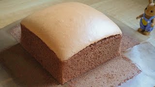 The Ultimate Jiggly Chocolate Castella Cake Recipe [upl. by Satsoc]