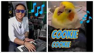 Cookie Cookie ft Ginger the Cockatiel The Dancing Cockatiel Who Can Talk [upl. by Janeen]