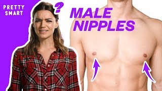 Why Do Men Have Nipples  Pretty Smart [upl. by Siocnarf471]