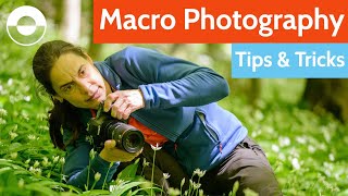 Macro Photography Tips and Tricks Camera Settings Equipment Diffuser  Mirror Hack [upl. by Sternick]