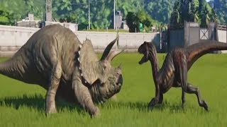 TRICERATOPS MAX Vs INDORAPTOR  Jurassic World Evolution [upl. by Ahsasal]