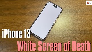 How to Fix iPhone 13 Stuck on White Screen Of Death  Six Troubleshooting Steps [upl. by Assiluy]