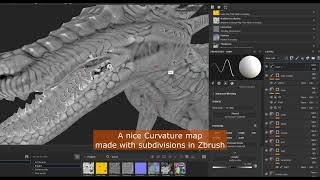 Nice curvature map in Zbrush [upl. by Crosby810]