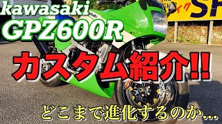 GPZ 600Rカスタム2 【GPZ 400R】 [upl. by Leahcimnaes]