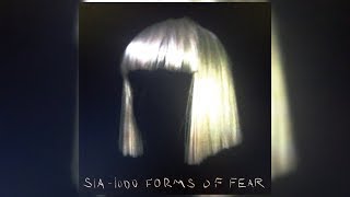 Sia  Cellophane LetraLyrics [upl. by Gilli]