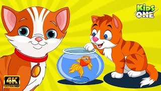 Billi Rani बिल्ली रानी  Hindi Rhymes for Children  Billi Rani Song  Kidsone Hindi [upl. by Iridissa626]