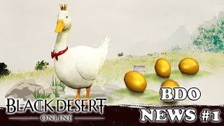 Black Desert  BDO NEWS 8 28032018 FR [upl. by Yelrahc]