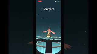 Getting gourgeist in pokemon go [upl. by Jemine]