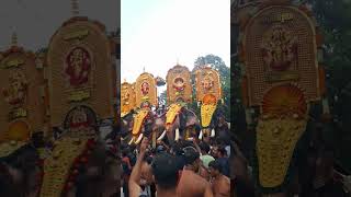 ukkens kunju thechikkottu ramachandran puthuppally sadhu 🔥 elephant keralafestival festival [upl. by Aihsyn]