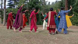 bhaderwahi Dhol pr dance [upl. by Ydnam]