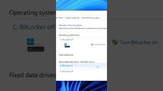 How to Manage Bitlocker Encryption [upl. by Rame]