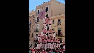 3d9f  Diada del primer diumenge de Festes 2024 [upl. by Malkah]