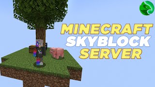 Minecraft Skyblock Sunucusu  Server Tanıtımı  RebornCraft [upl. by Sollows]