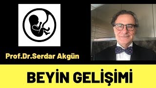 BEYİN GELİŞİMİ EMBRİYOLOJİ SERDAR AKGÜN [upl. by Orecic]