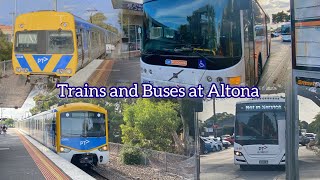 Trains and Buses at Altona [upl. by Odnomra41]