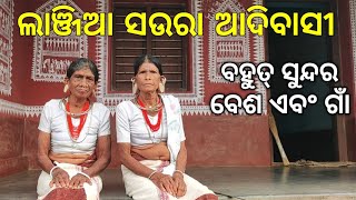 ଲାଞ୍ଜିଆ ସଉରା ଆଦିବାସୀ Lanjia soura tribe Tribe Vlog VillageVlog Rayagada Gajapati Tribe Odisha [upl. by Pip428]