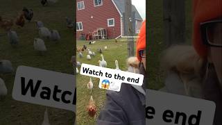 WATCH TO THE END 😱 I live on a crazy farm 🚜 🤪 viralvideo farmlife farm [upl. by Animas871]