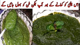 Chatpati Hari Chatney  Hari mirch podena lehsan adrak ki chatney  Chilli Garlic mint sause [upl. by Sellers317]