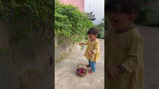 viralvideo flowers torte hue vaani 🌼🪷💐🌸🌺🪻💁‍♀️ [upl. by Caryn625]