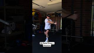 Split Stance Pallof Press with Rotation [upl. by Ogawa]