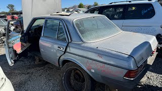 MercedesBenz S123 W115 W116 amp W123 at Junkyard [upl. by Cherida731]