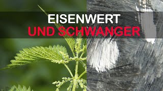 Eisenmangel während Schwanger Wie wichtig ist Eisen Worauf musst du achten [upl. by Telfore108]