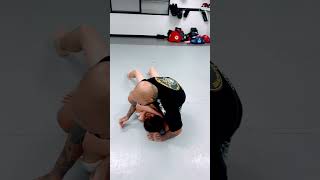 Submissions From Mount jiujitsu bjj grappling ufc mixedmartialarts martialarts bjjlifestyle [upl. by Maidel637]