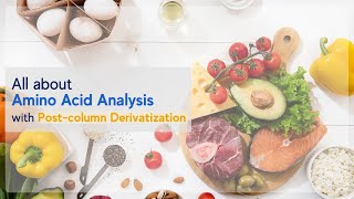 All about Amino Acid Analysis with Postcolumn Derivatization [upl. by Arraet]