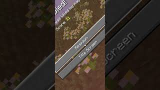 Minecraft aber Jeder Chunk hat ein Random Effekt shorts [upl. by Eisac498]