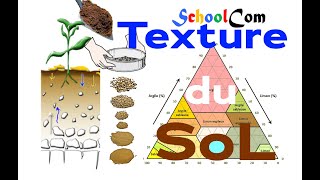 triangle de texture du sol explication  tronc commun [upl. by Naujyt]