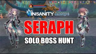 Insanity Flyff  Seraph Solo Boss Hunt [upl. by Neron780]