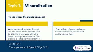 Flipped Classroom Assignment The Process of Fossilization [upl. by Nidnerb]