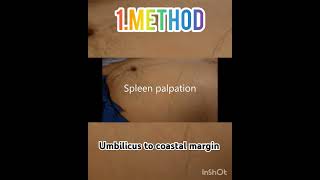 spleen palpation in traubes space medicose spleen⛑️🏥🩺💉💊 Sudarshanlipane17 [upl. by Dnalel525]