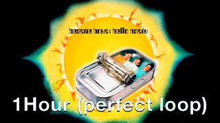 Beastie Boys Intergalatic Extended 1 Hour Perfect Loop [upl. by Nabetse58]