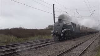 Sir Nigel Gresley Steam Dreams London to York Saturday 2 March 2024 [upl. by Ause615]